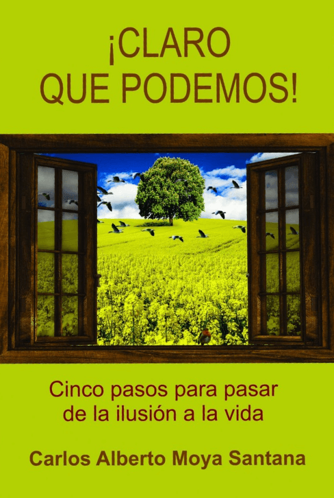 ¡Claro que podemos! Cinco pasos para pasar de la ilusión a la vida