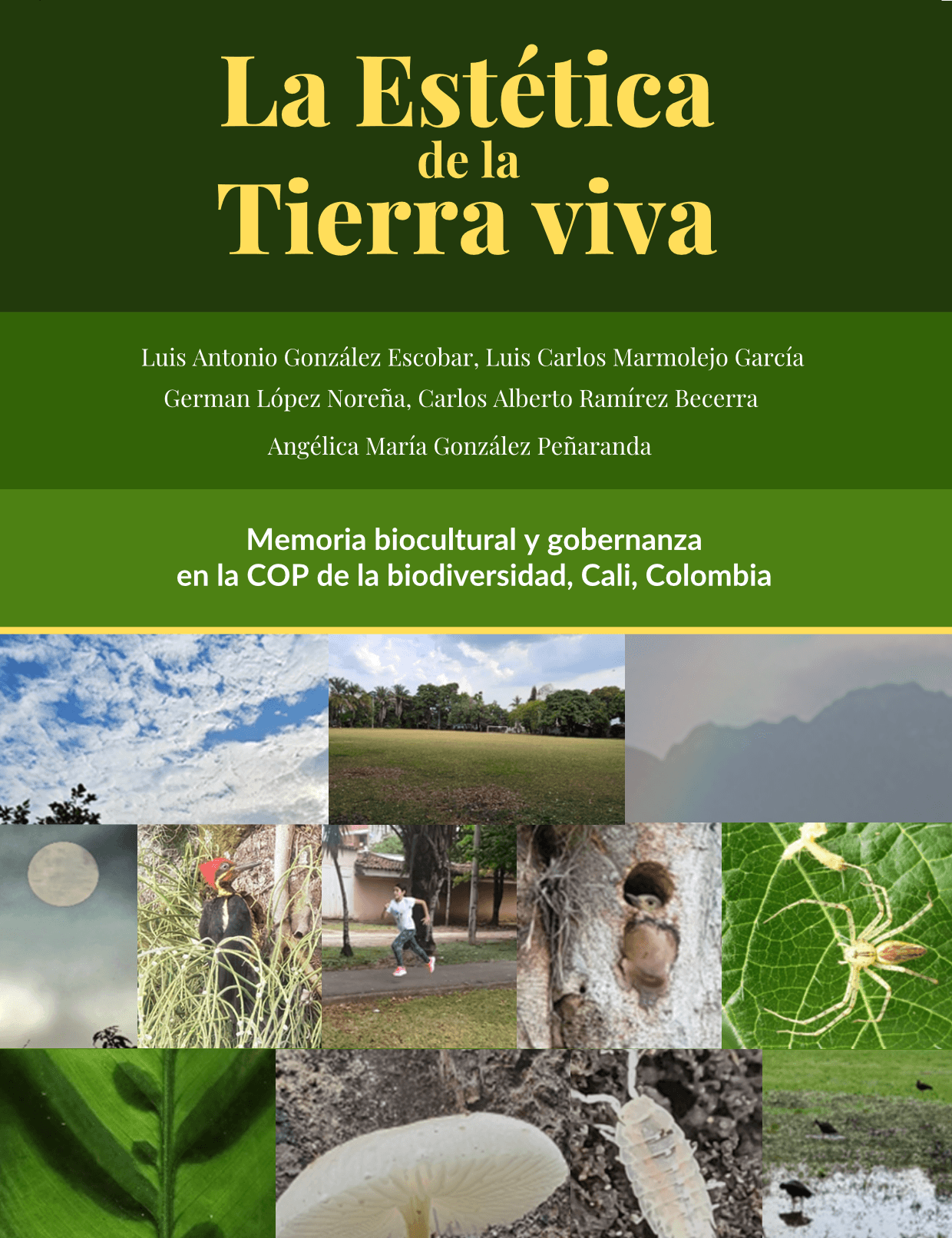 La estética de la Tierra