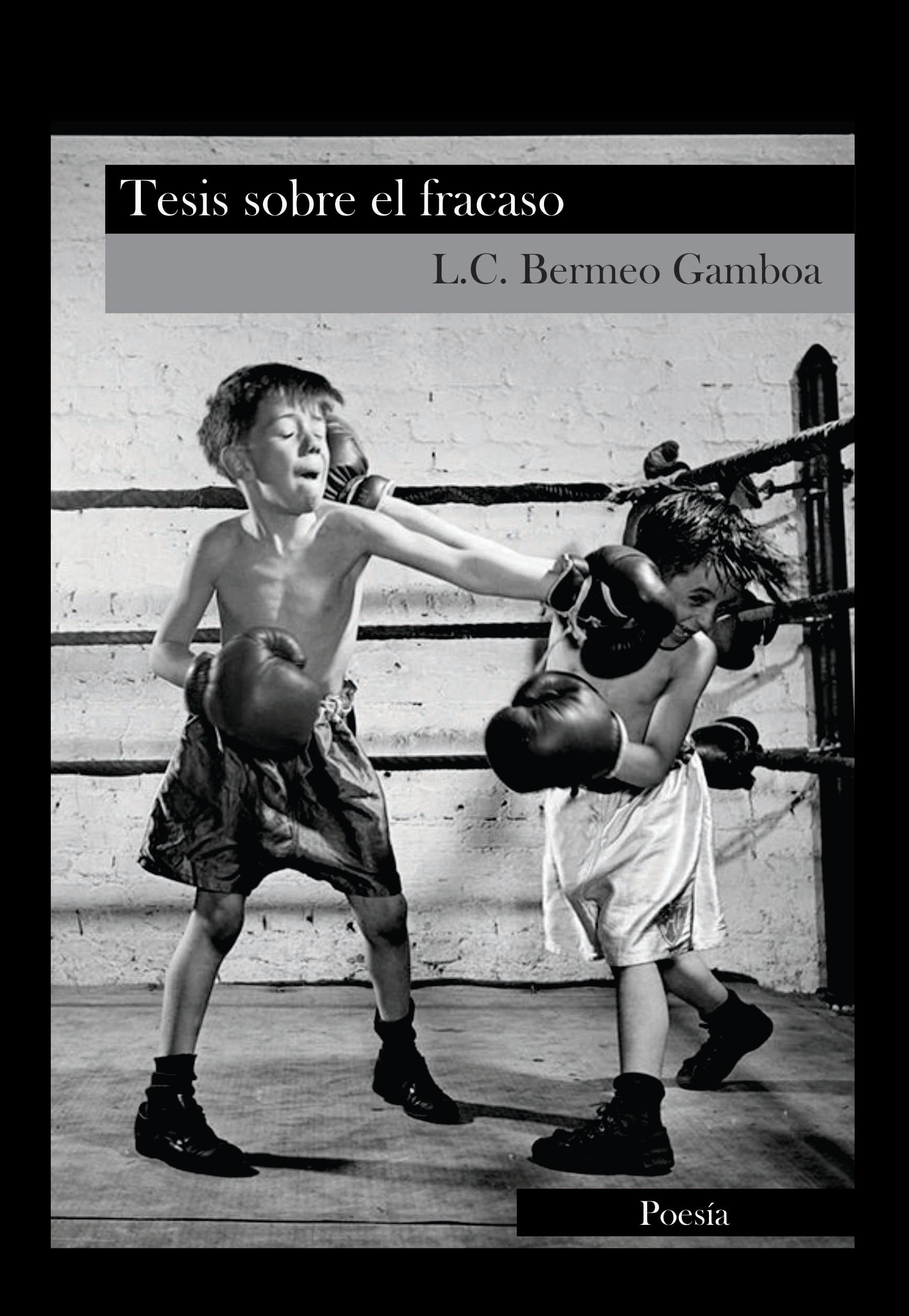 Tesis sobre el fracaso