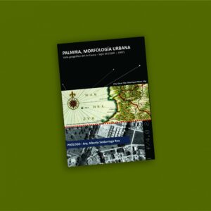 PALMIRA, MORFOLOGÍA URBANA, Valle geográfico del río Cauca